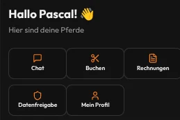 Ausschnitt Kunden-App: Chat, Buchen, Rechnungen, Datenfreigabe